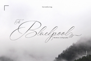 Blackpool Script Font: Elegant Design for Creative Projects