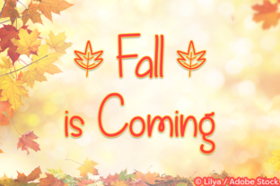 Fall is Coming: A Script Handwritten Font for Branding and Design
