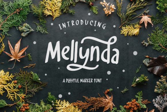 Mellynda Script: A Playful Font for Creative Branding