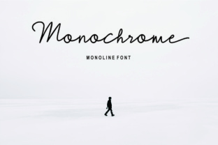 Monochrome: The Font That Elevates Your Brand’s Visual Identity