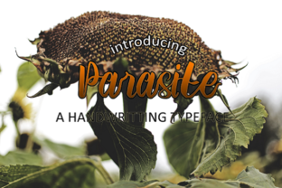 Parasite: A Bold Script Font for Modern Branding