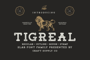 Tigreal Family: The Slab Serif Font for Bold Digital Branding